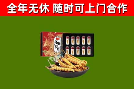 红山回收冬虫夏草价格